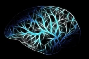 让“坏蛋白”被分手！双极性胜肽分子抑制亨丁顿氏舞蹈症的新策略