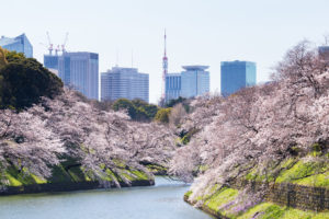 东京逾千人染疫，传日本最快 4/7 宣布紧急状态