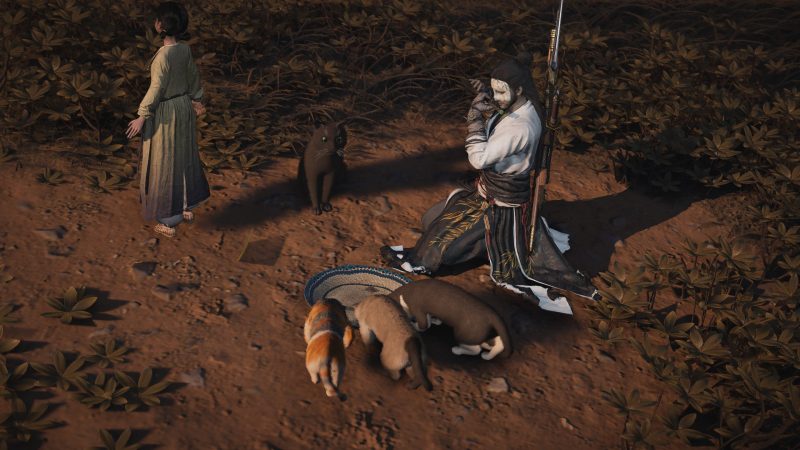 Rally the Cats Quest Guide: Where to Find All Missing Cats in Where Winds Meet