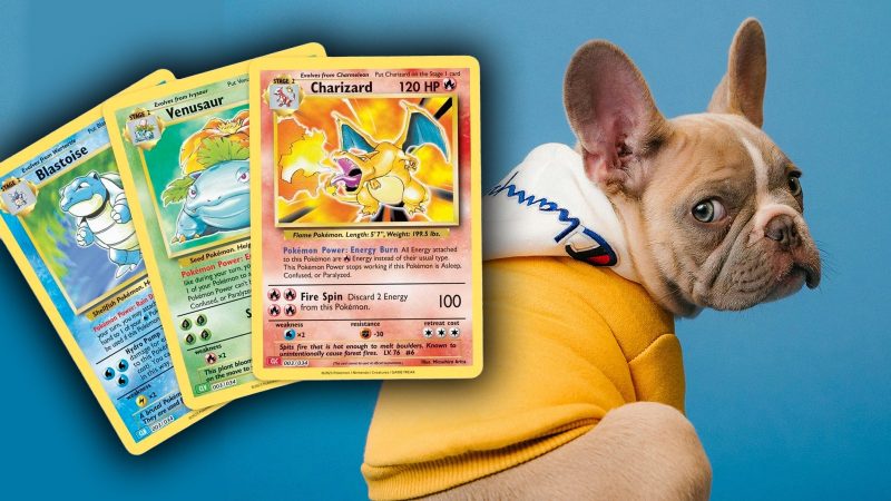 Dog Breeders Trading Puppies for Pokémon Cards?