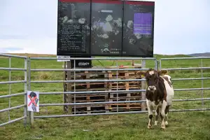 A Real Cow Is Playing Eve Online Right Now—And It's Epic