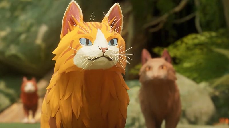 Warrior Cats: Clans of the Forest Interview: Release Date, Roles, Combat & More