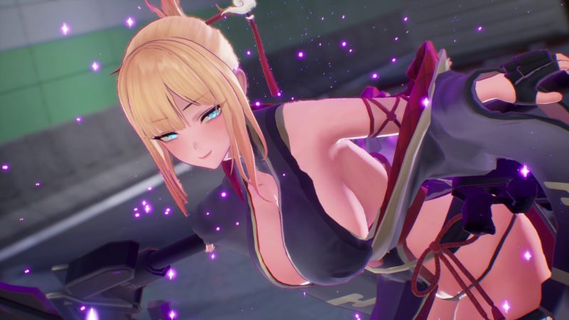 Fast-Paced Hack-and-Slash 'Kyuuyu Ninja Den' Hits Steam With Sexy Kunoichi