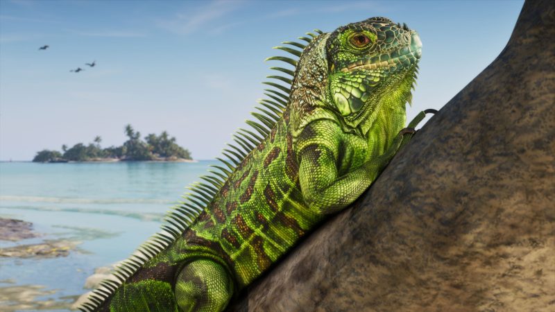 GTA 6's Leonida Will Have Over 170 Animal Species, Rockstar Confirms