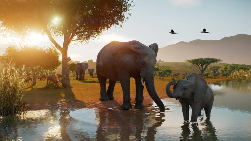 Planet Zoo 2 Preview: Get Ready to Walk on the Wild Side