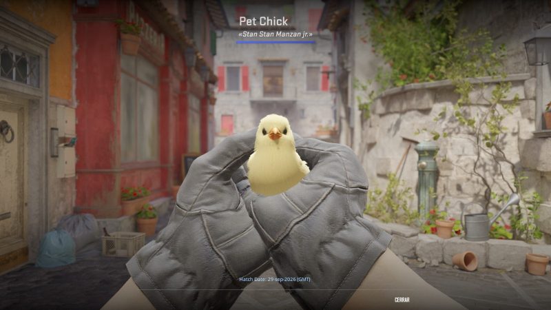 CS2 Hidden Pet Chicken System Discovered by Players