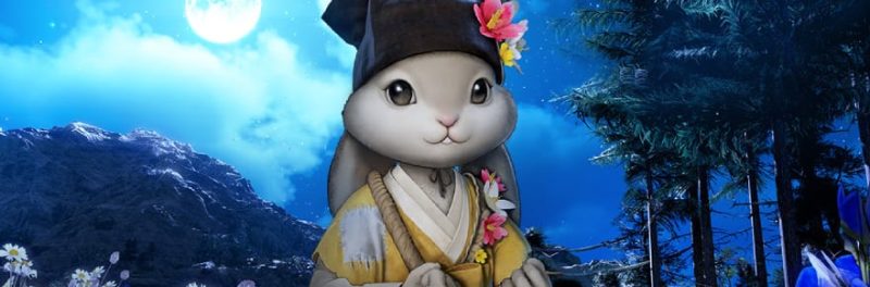 Black Desert Mobile's Moonlight Festival Brings Autumn Cheer