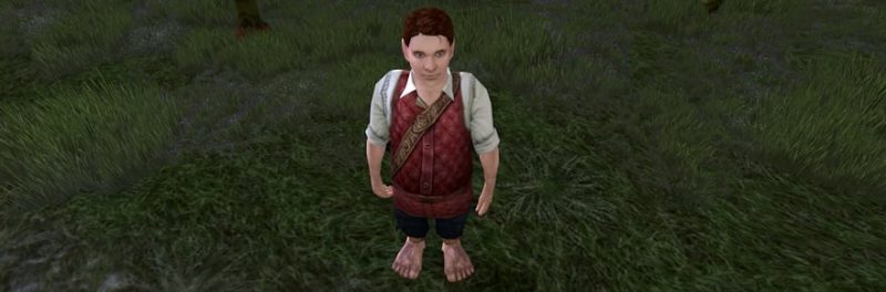 LOTRO's New Neighbour System: Making Friends in Middle-earth
