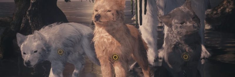 Soulframe Patch Lets You Customize Your Wolfpup's Stats